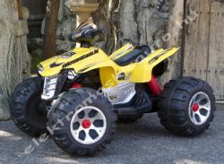 KS Q 12V R/C